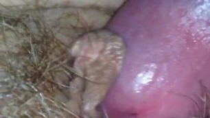 My cock on wife's hairy pussy